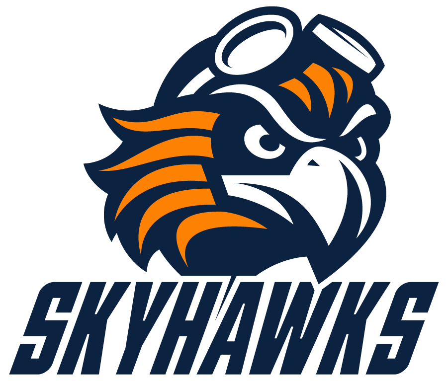Tennessee-Martin Skyhawks 2020-Pres Alternate Logo v4 t shirts iron on transfers